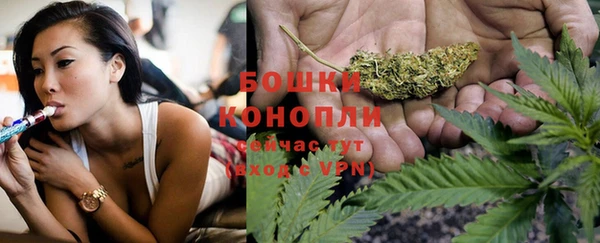 прущие крисы Калининец