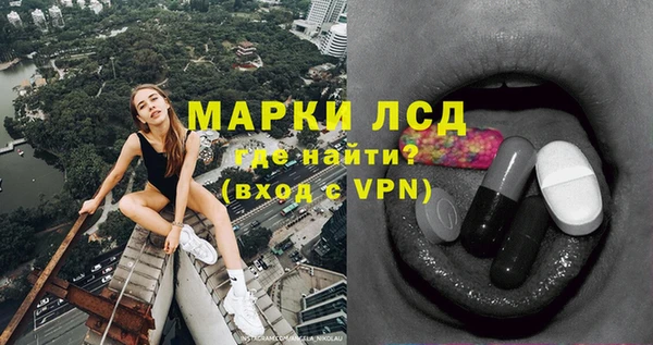 стафф Богданович