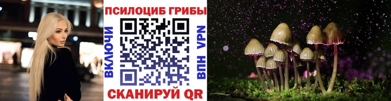 Галлюциногенные грибы GOLDEN TEACHER  купить наркотики сайты  Качканар 